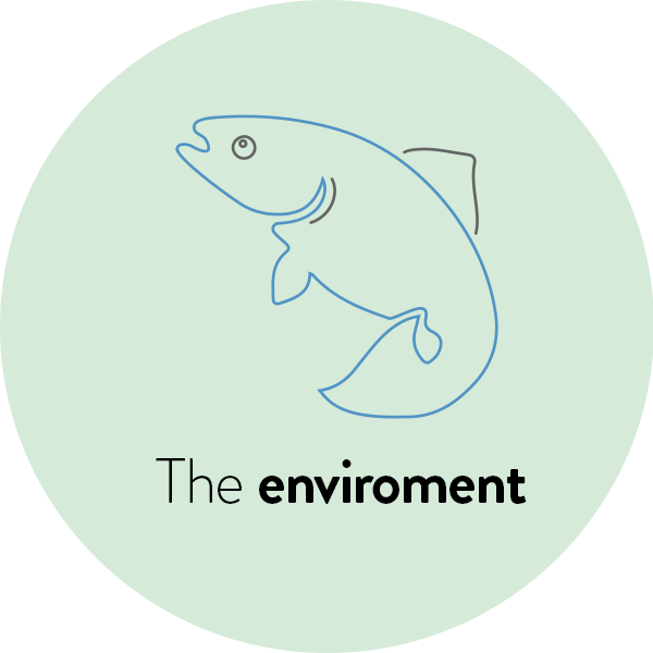 symbol_environment