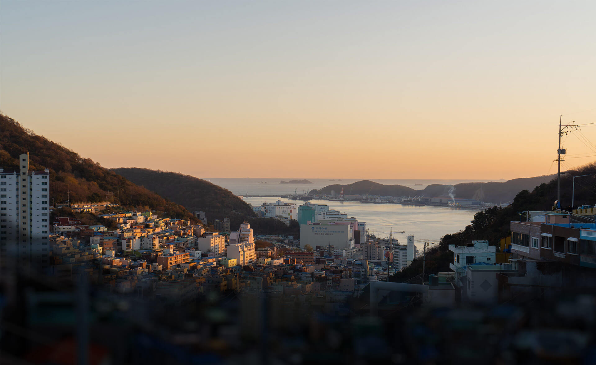 Busan, South Korea (photo by Patrick, Unplash)