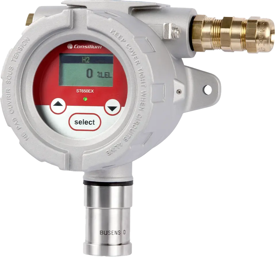 ST650 Gas Detector